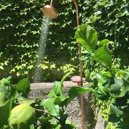 3 Olivi - By Lovecomo Hébergement de vacances Lenno