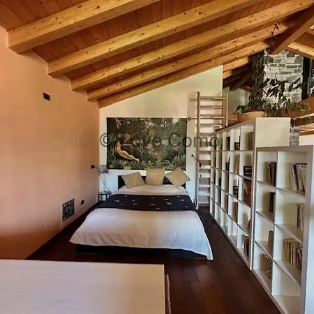 3 Olivi - By Lovecomo