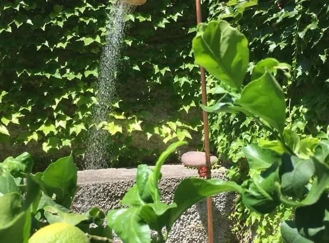 3 Olivi - By Lovecomo Holiday home Lenno