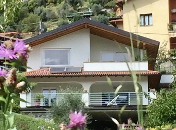 3 Olivi - By Lovecomo